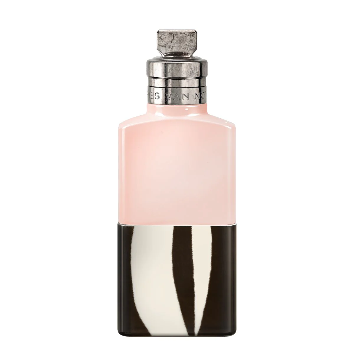 Rosa Carnivora - Image 4